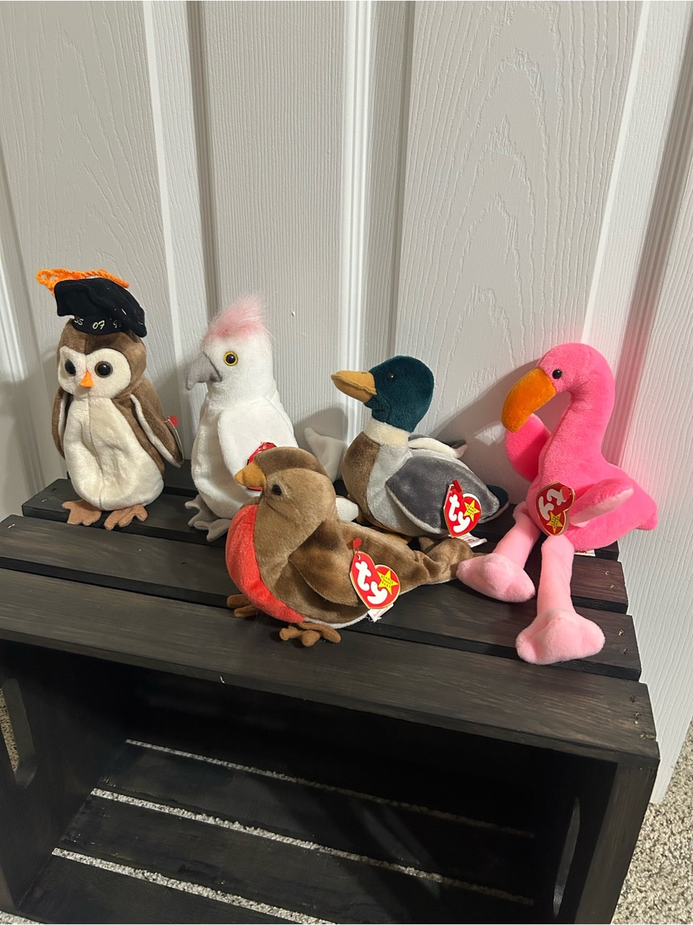 Beanie Babies NWT Bundle of 5 Wise, Early, KuKu, Jake, & Pinky